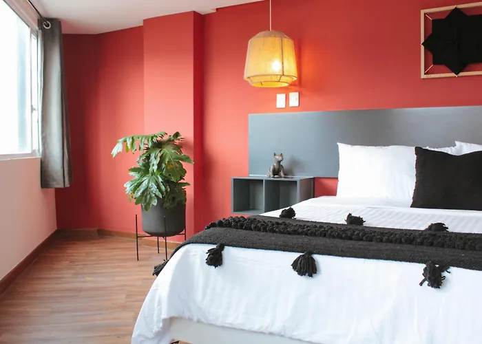 B Urban Xaman By Fontán Reforma 5*